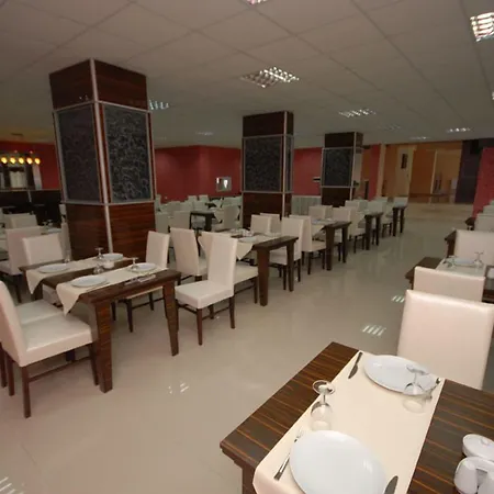 Отель Yucel Grand Sakarya 3*